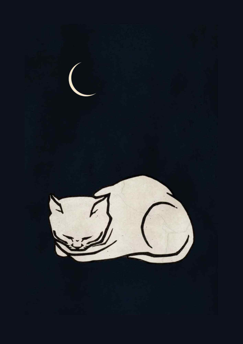 Sovende kat