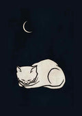 Sovende kat