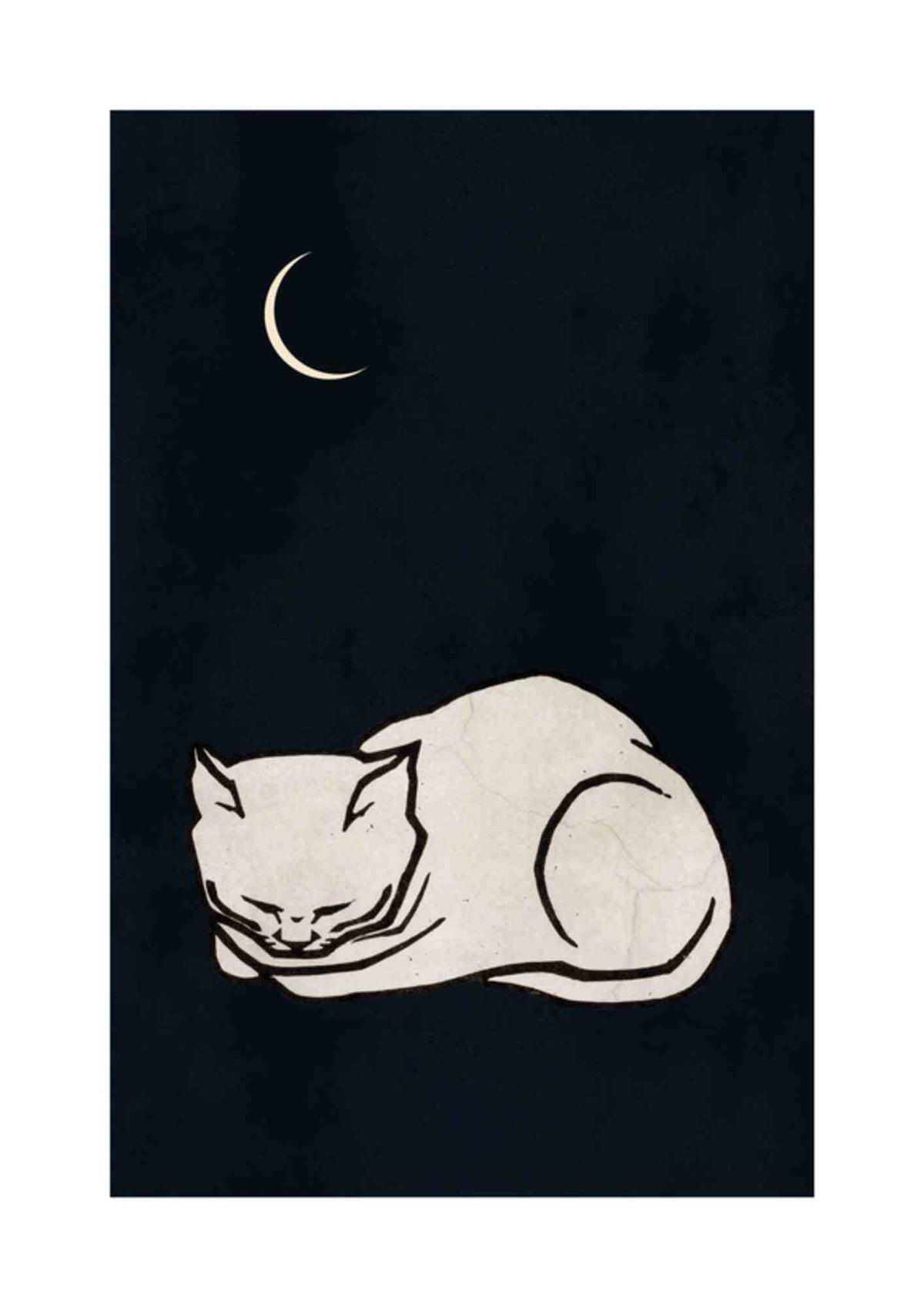 Sovende kat