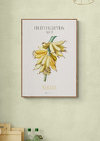 Bananklase