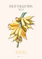 Bananklase