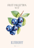 Frugtplakat - Blåbær