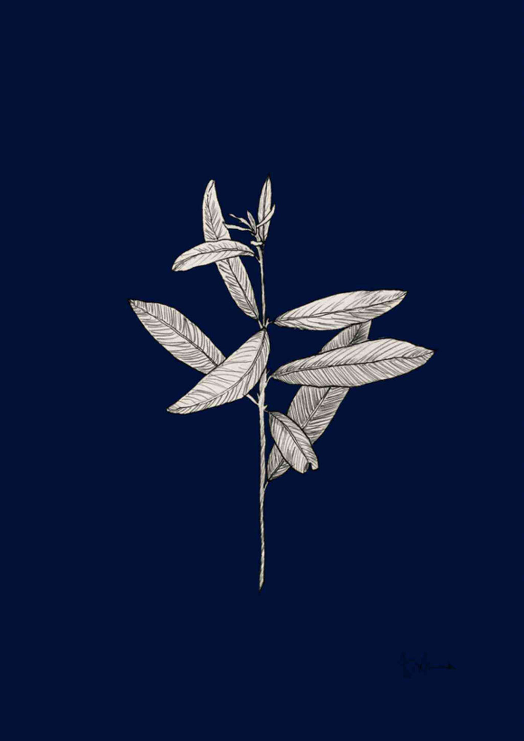 Botanisk beige på blå