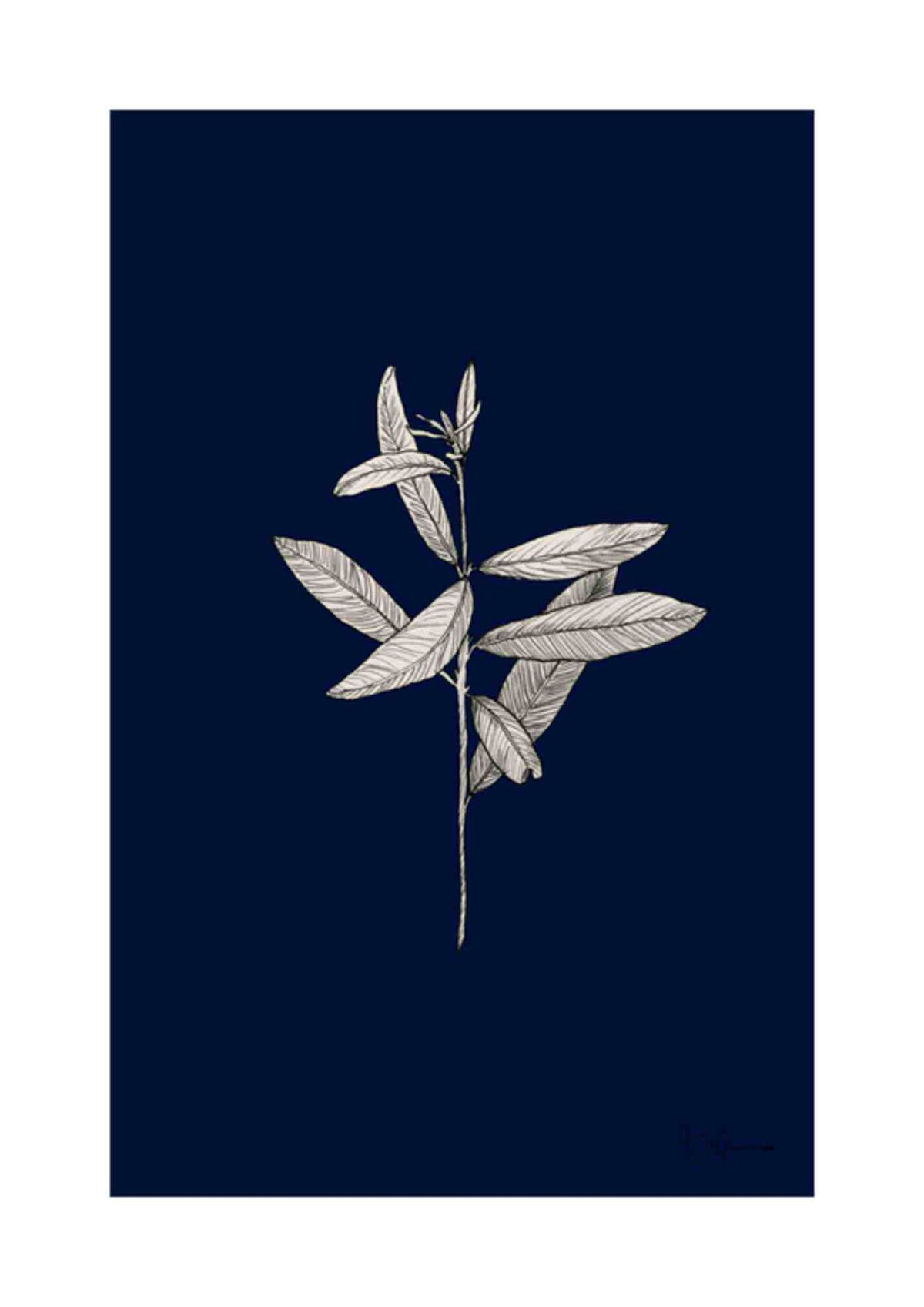 Botanisk beige på blå