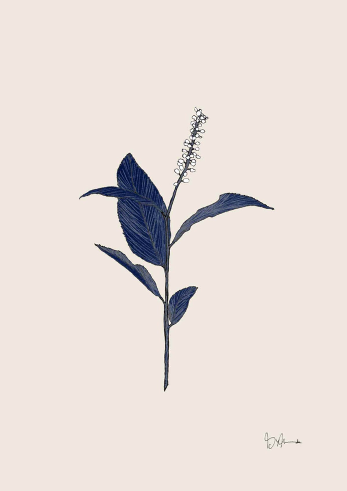 Botanisk blå på beige