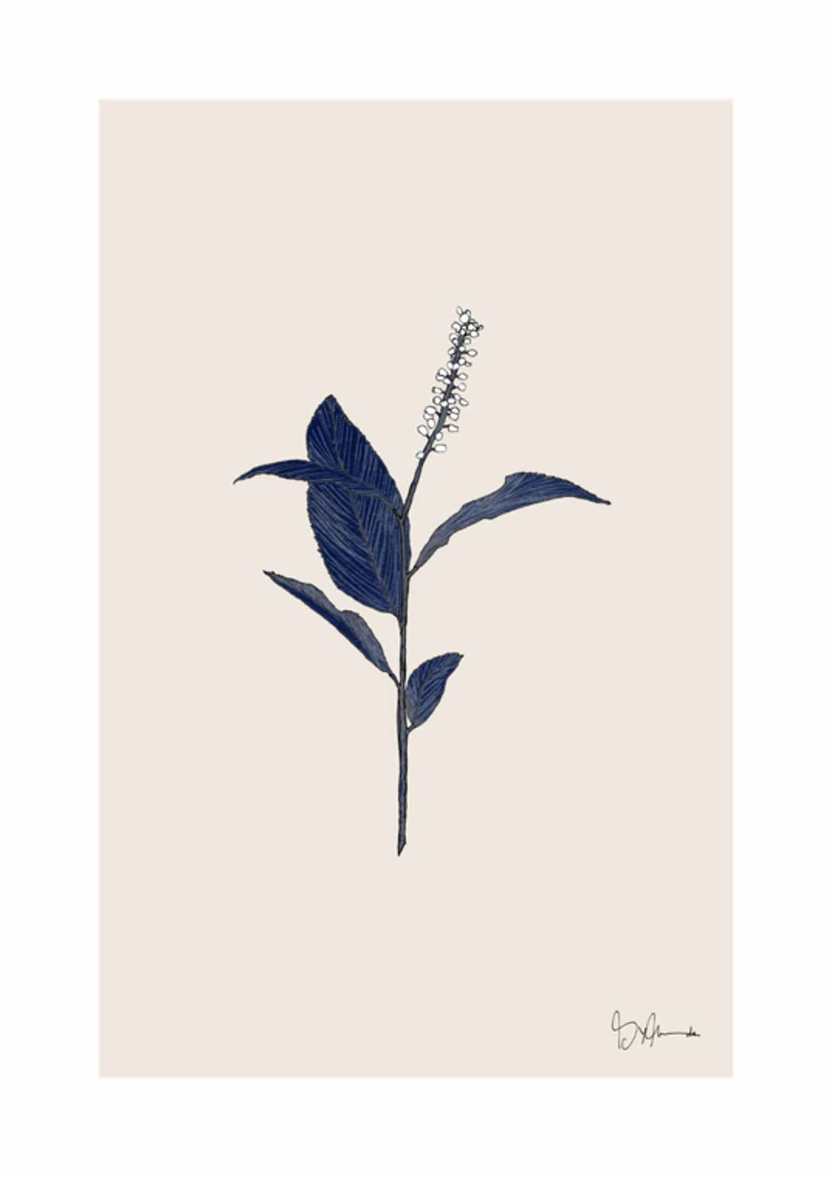 Botanisk blå på beige