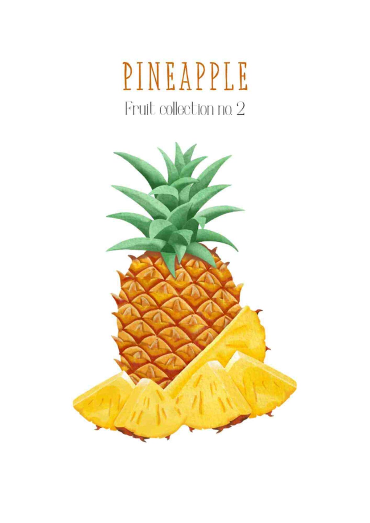 Frugtplakat - Ananas