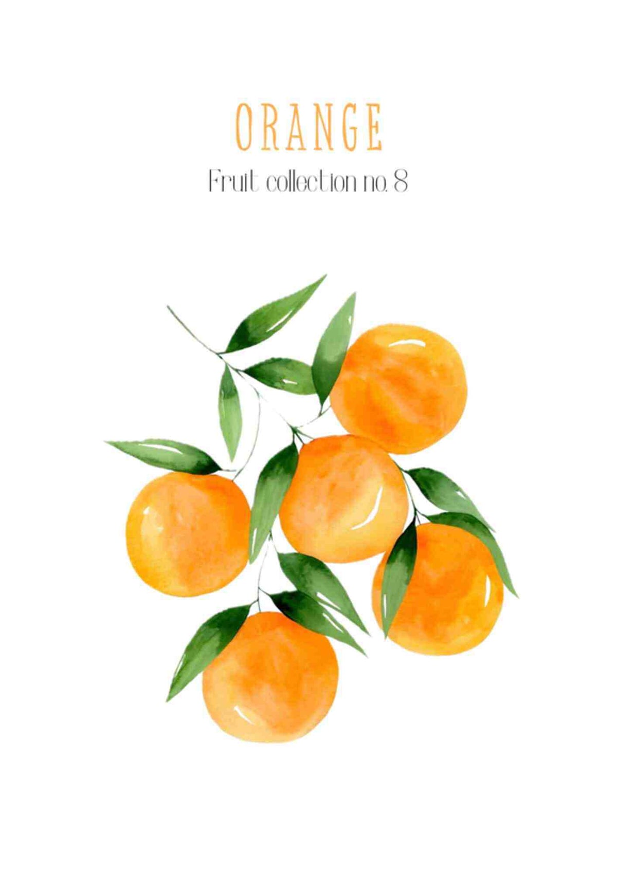 Frugtplakat - Appelsin