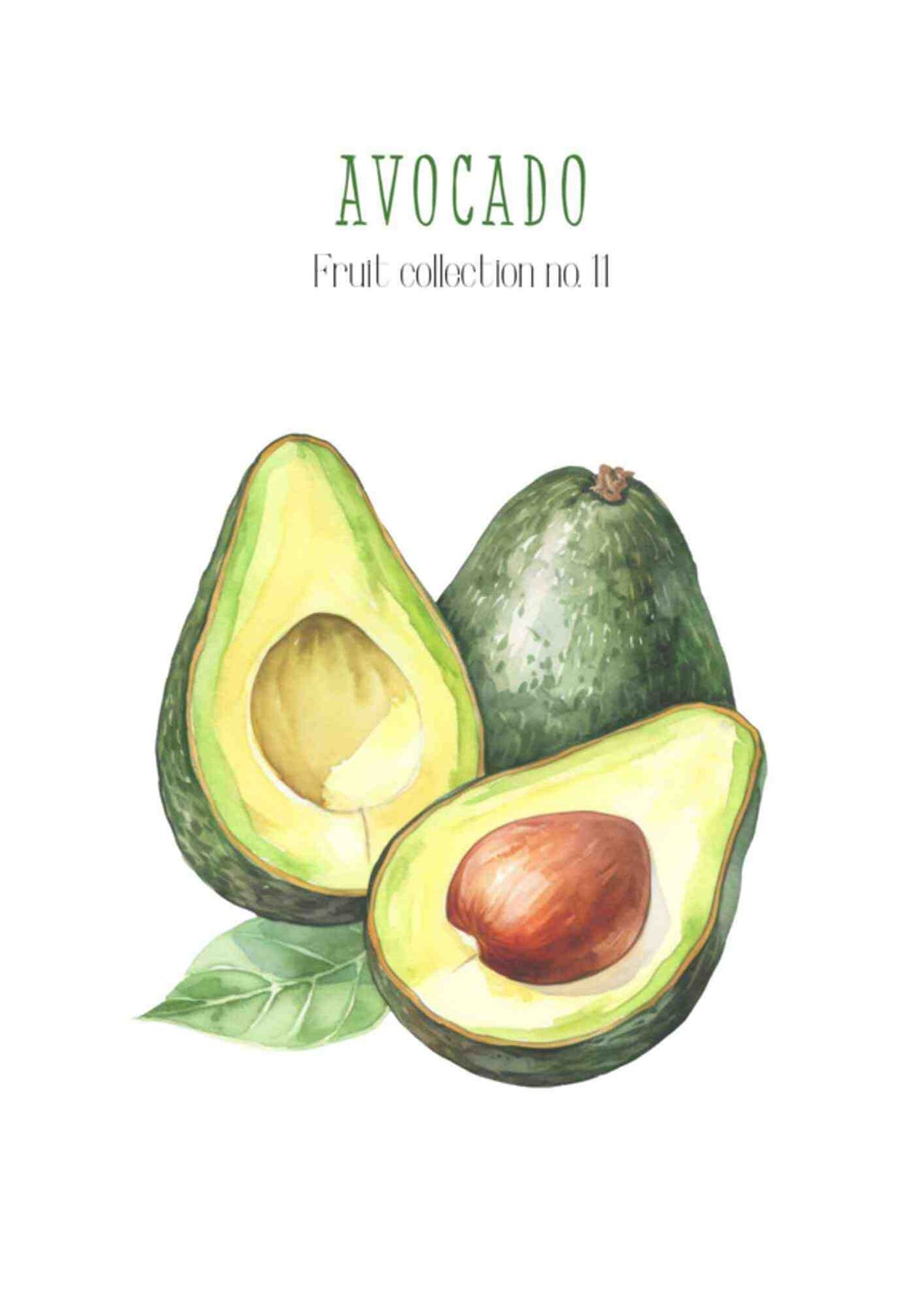 Frugtplakat - Avocado