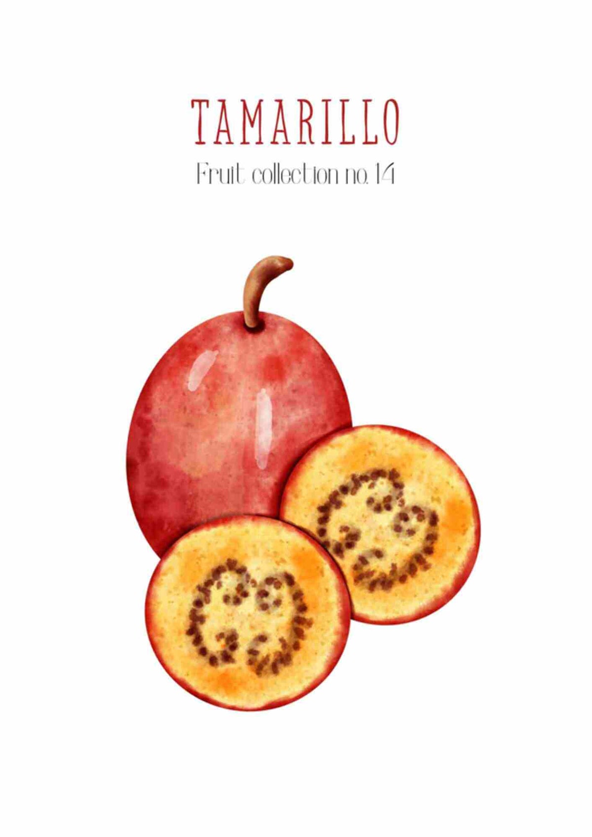 Frugtplakat - Tamarillo