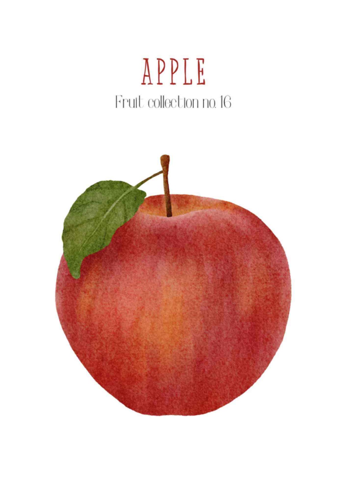 Frugtplakat - Æblet