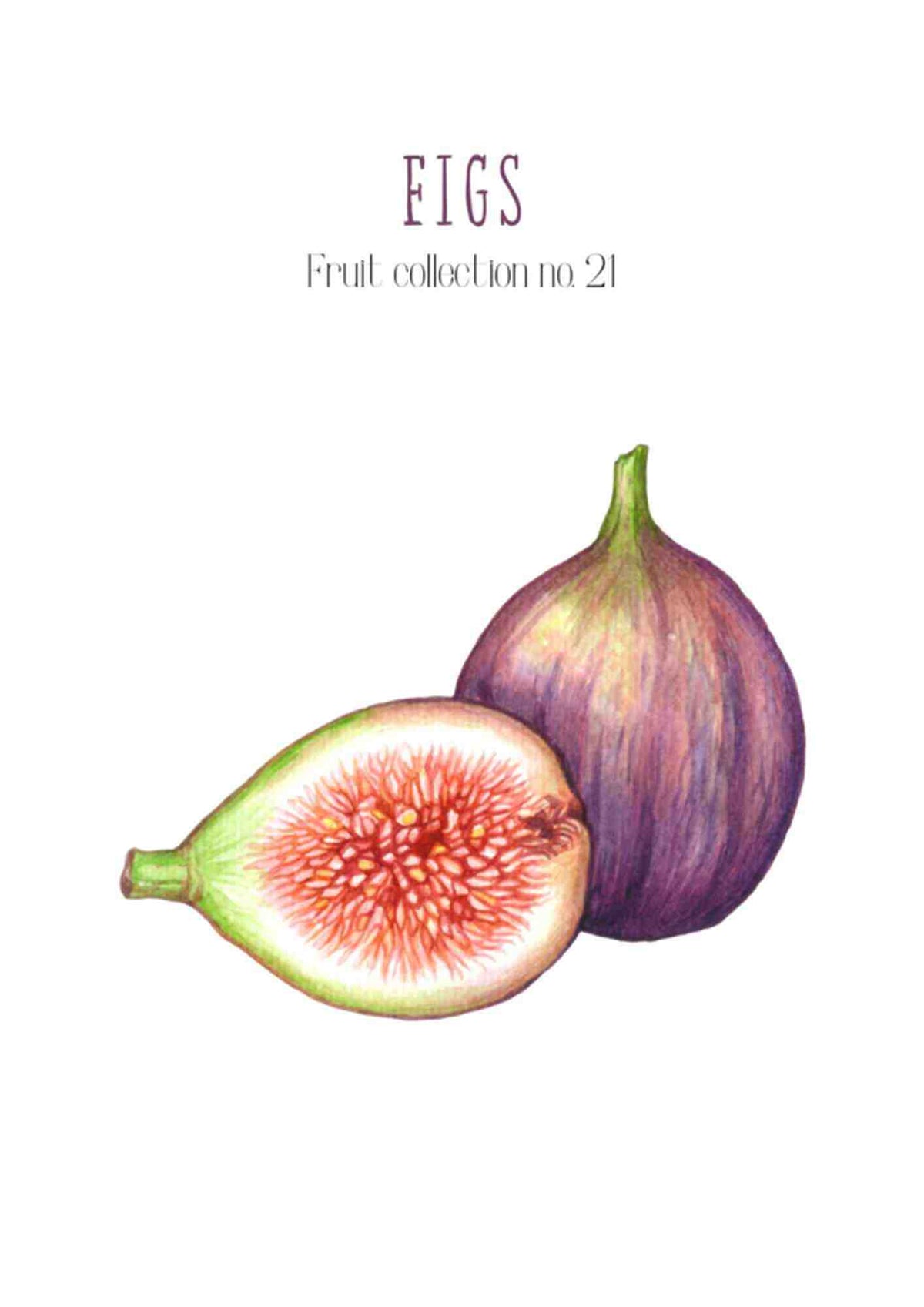 Frugtplakat - Figner