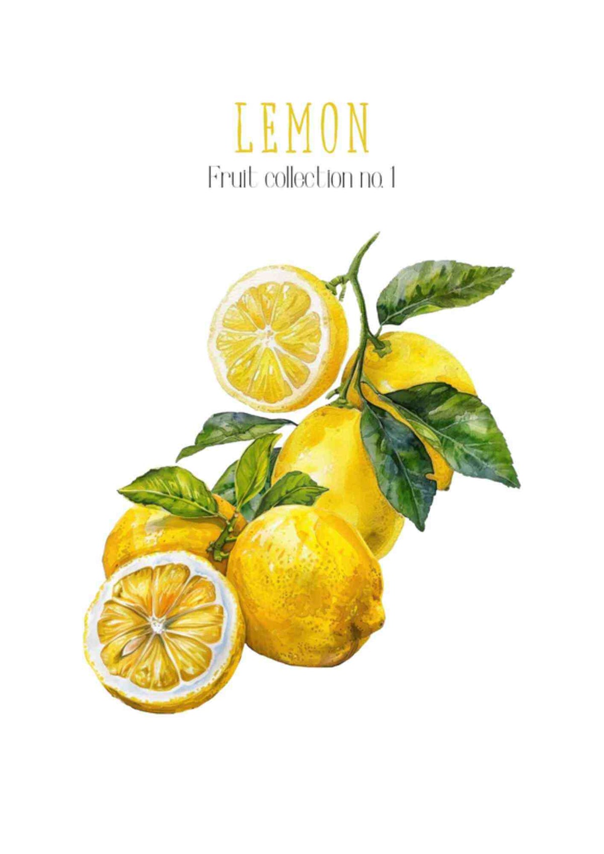 Frugtplakat - Citron
