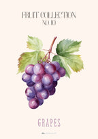 Frugtplakat - Vindruer