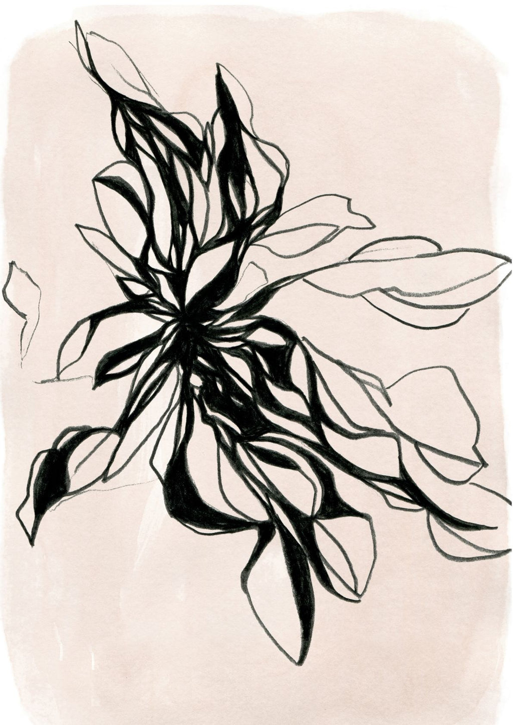 Planteillustration i sort
