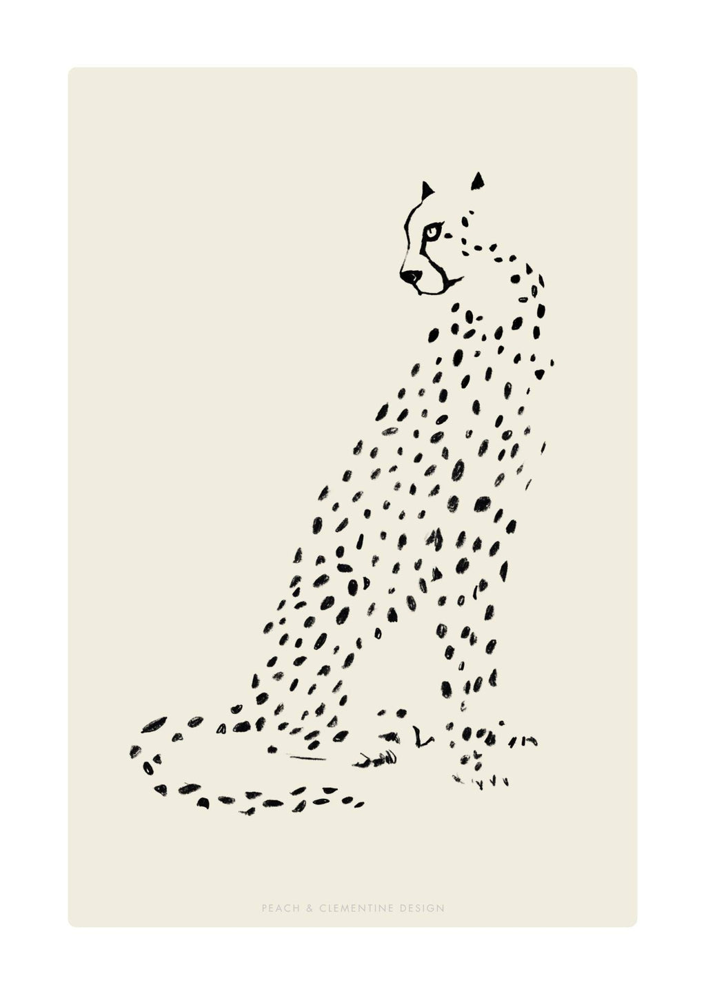 Prikkede gepard