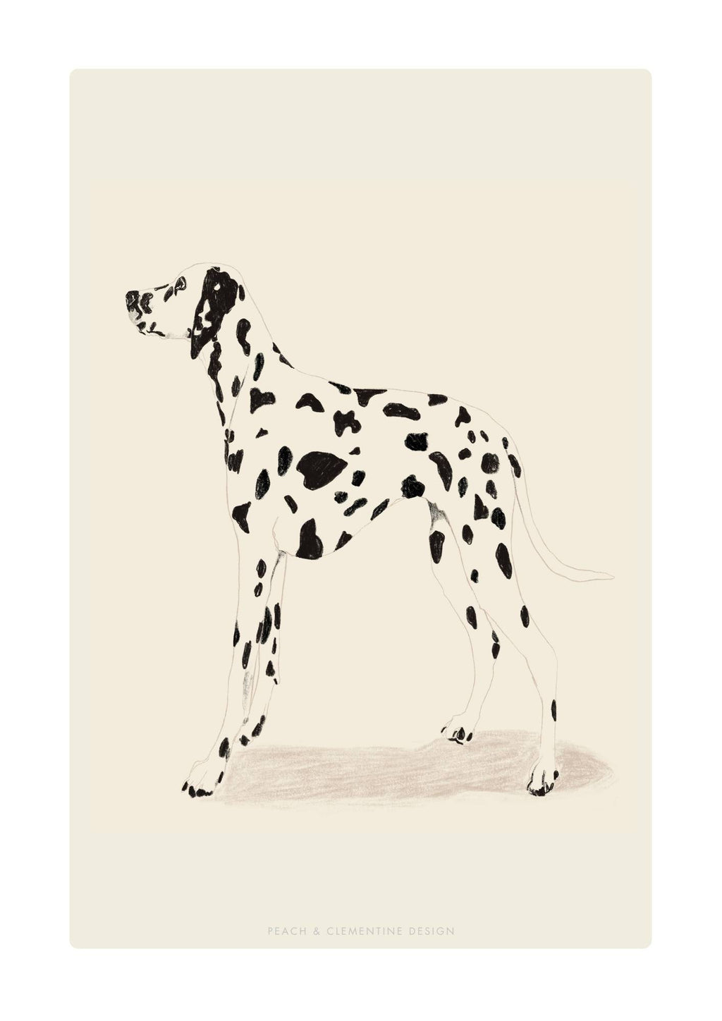 Dalmatiner Hund