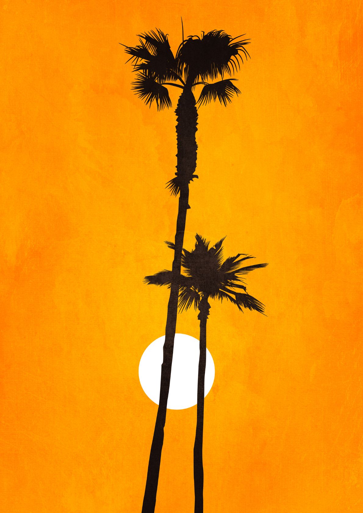 Palmer og solnedgang