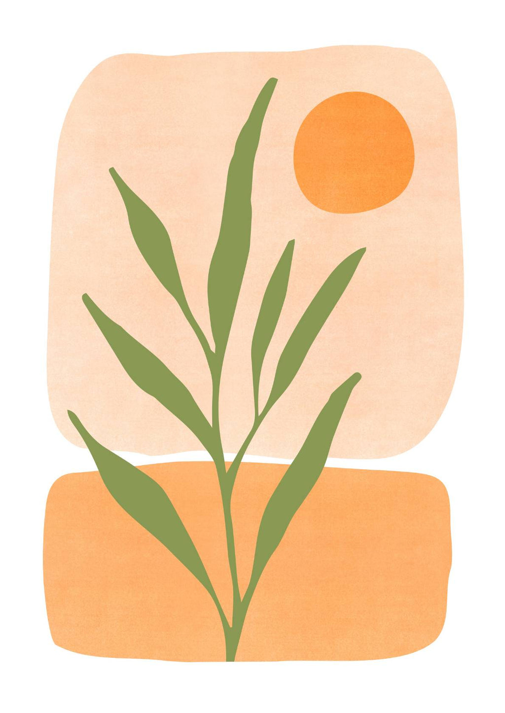Plante i morgensol
