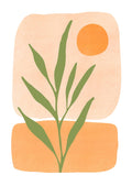 Plante i morgensol