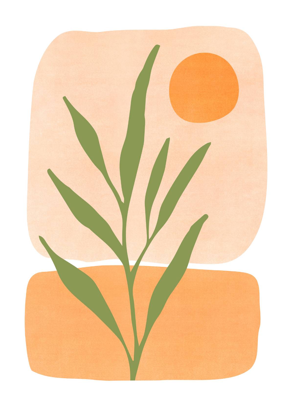 Plante i morgensol