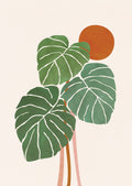 Monstera i solen