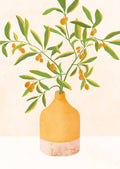 Oliven i vase