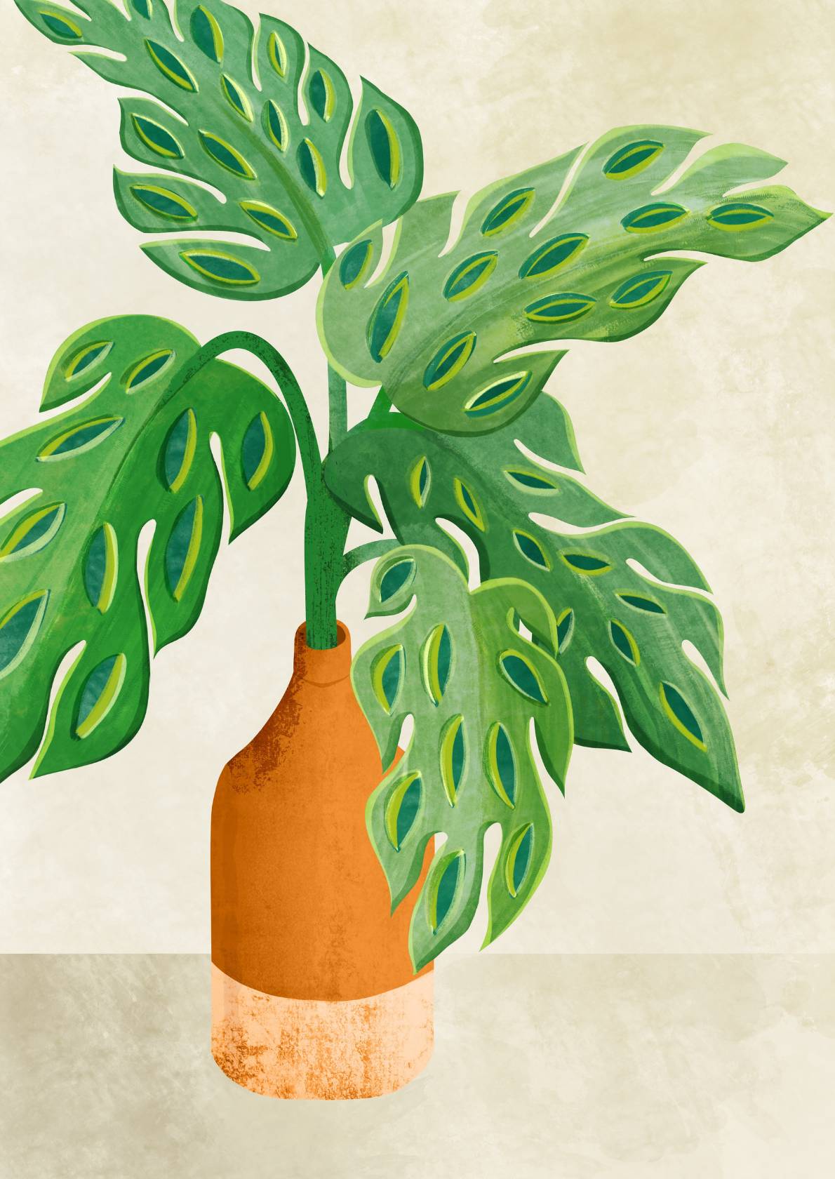 Monstera Plante