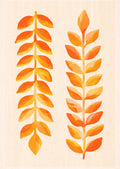Orange Bladmotiver