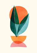 Plante i potte