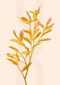 Gul plante