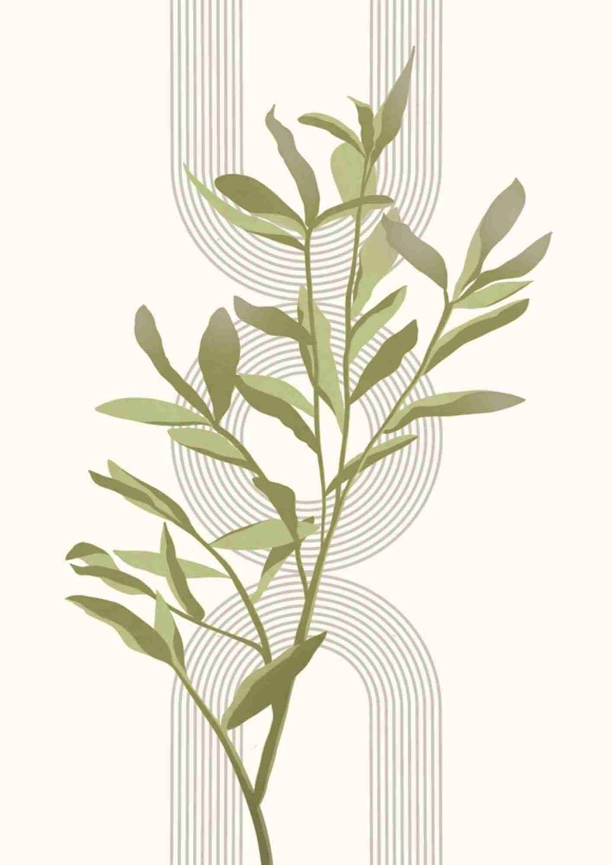 Eukalyptus geometri