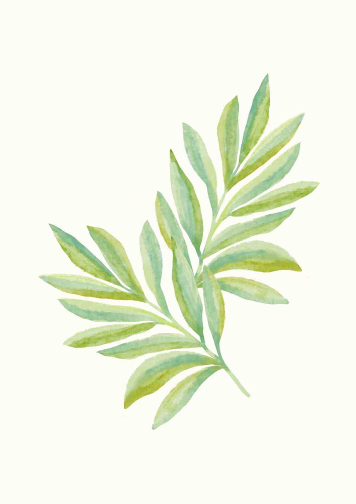 Vandfarvet bregne