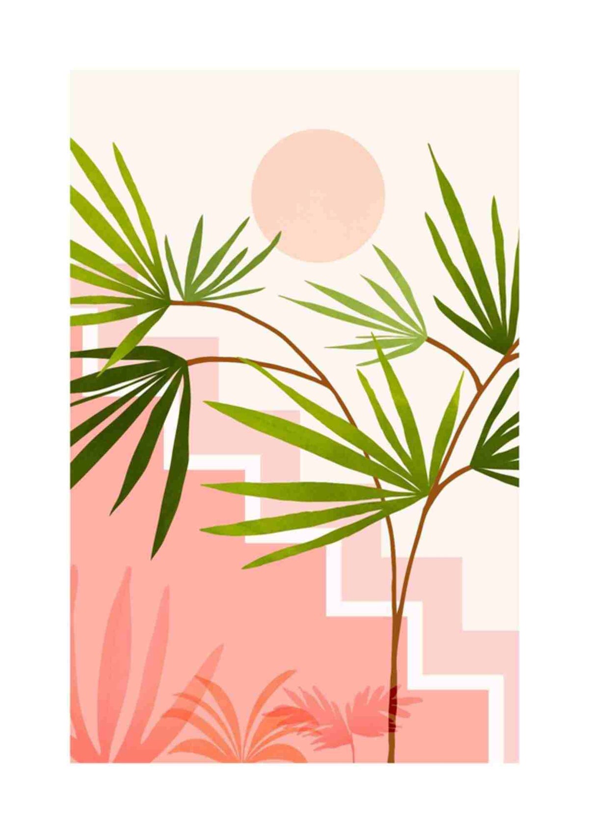 Palme og sol
