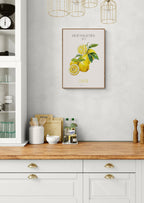 Frugtplakat - Citron