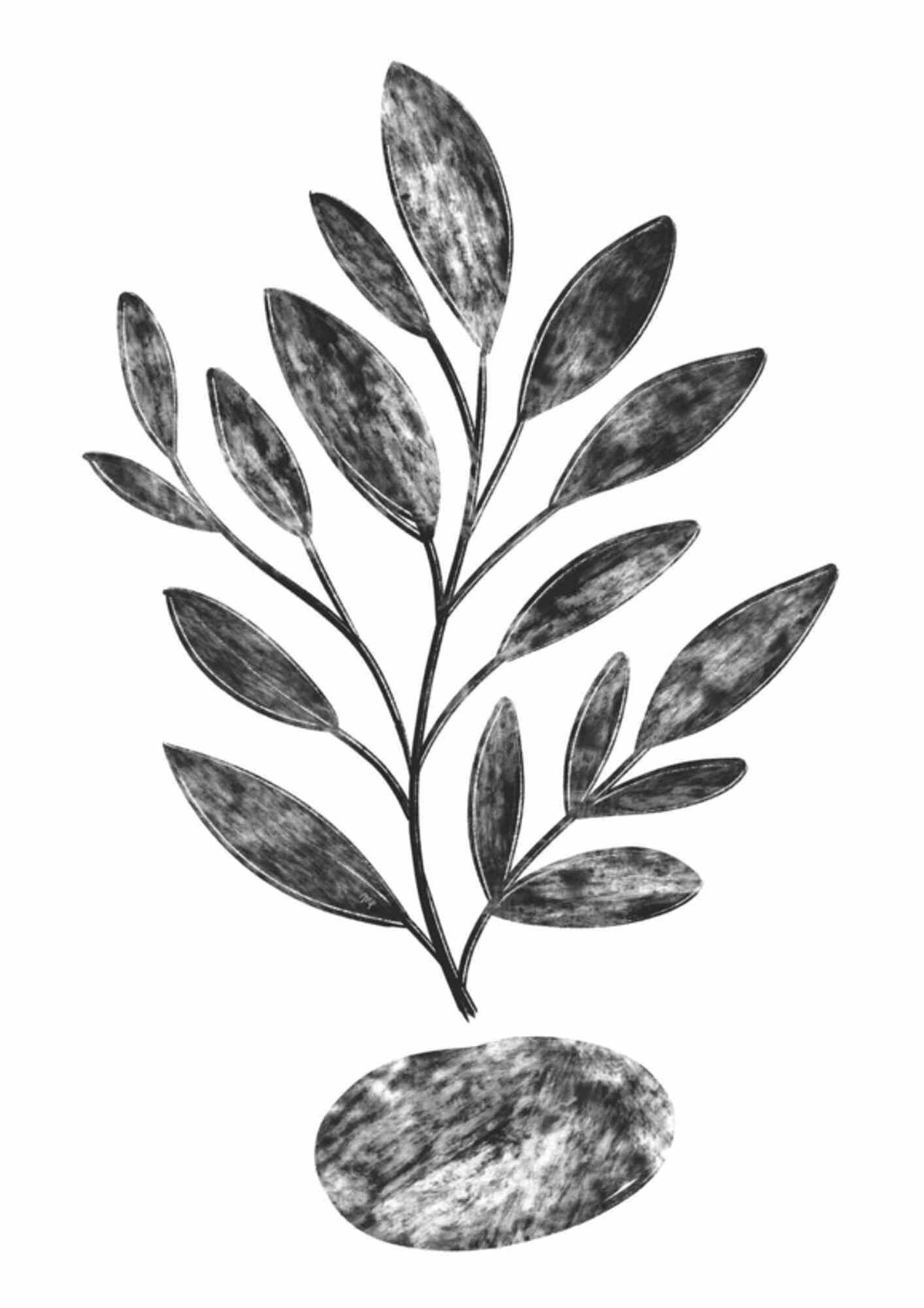 Plante på en sten