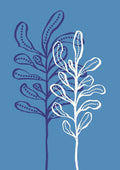 Blå plante
