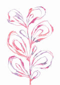 Farverig blomst