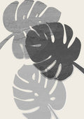 Mørke Monstera blade