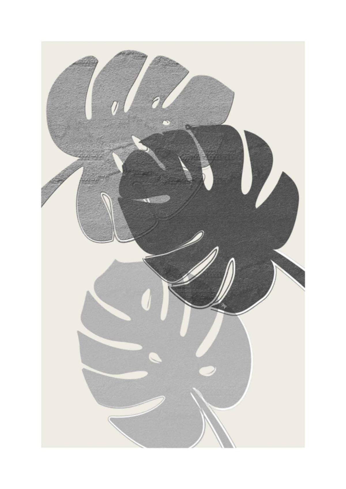 Mørke Monstera blade