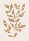 Mokkaplante