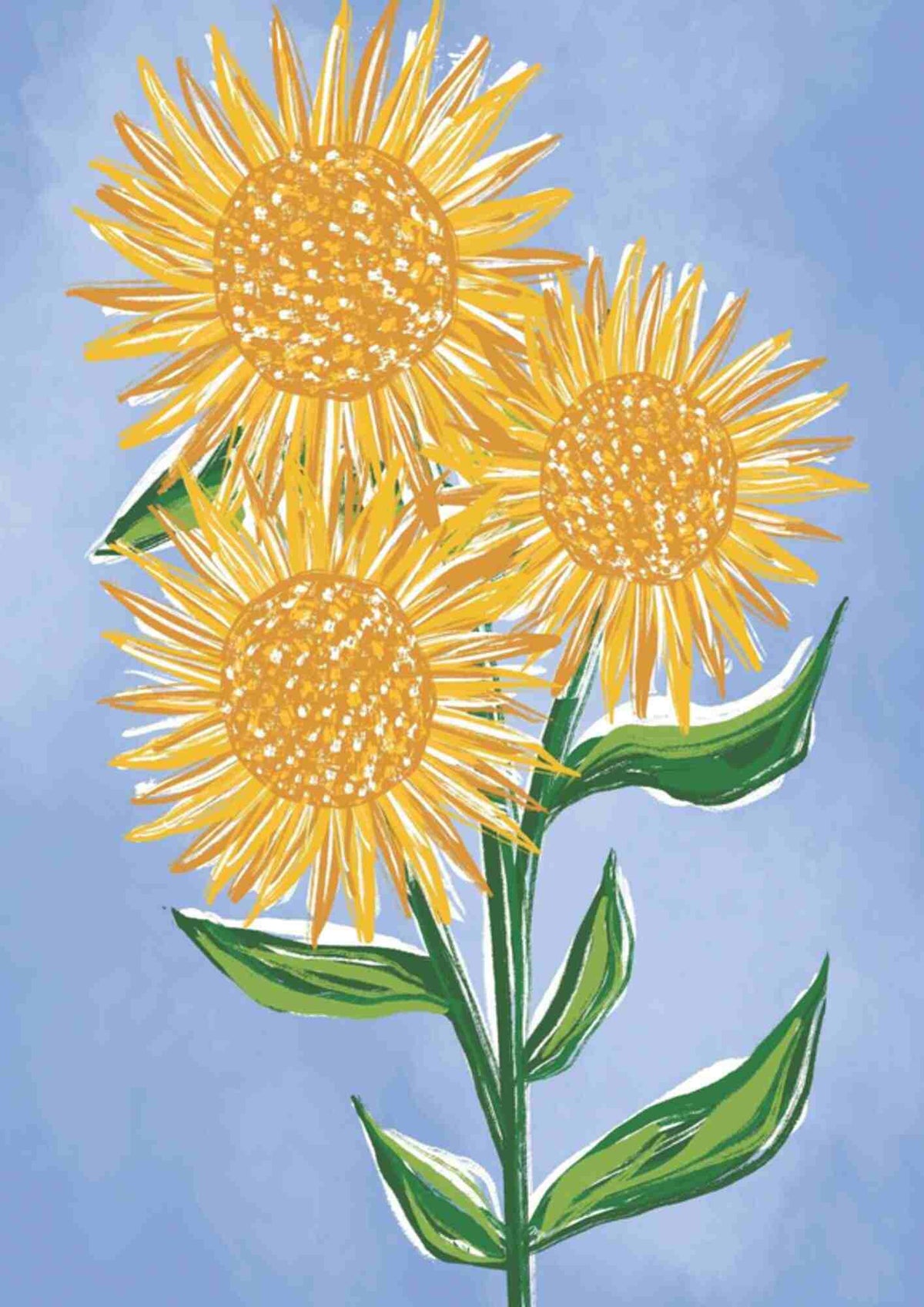 Solsikkeblomster