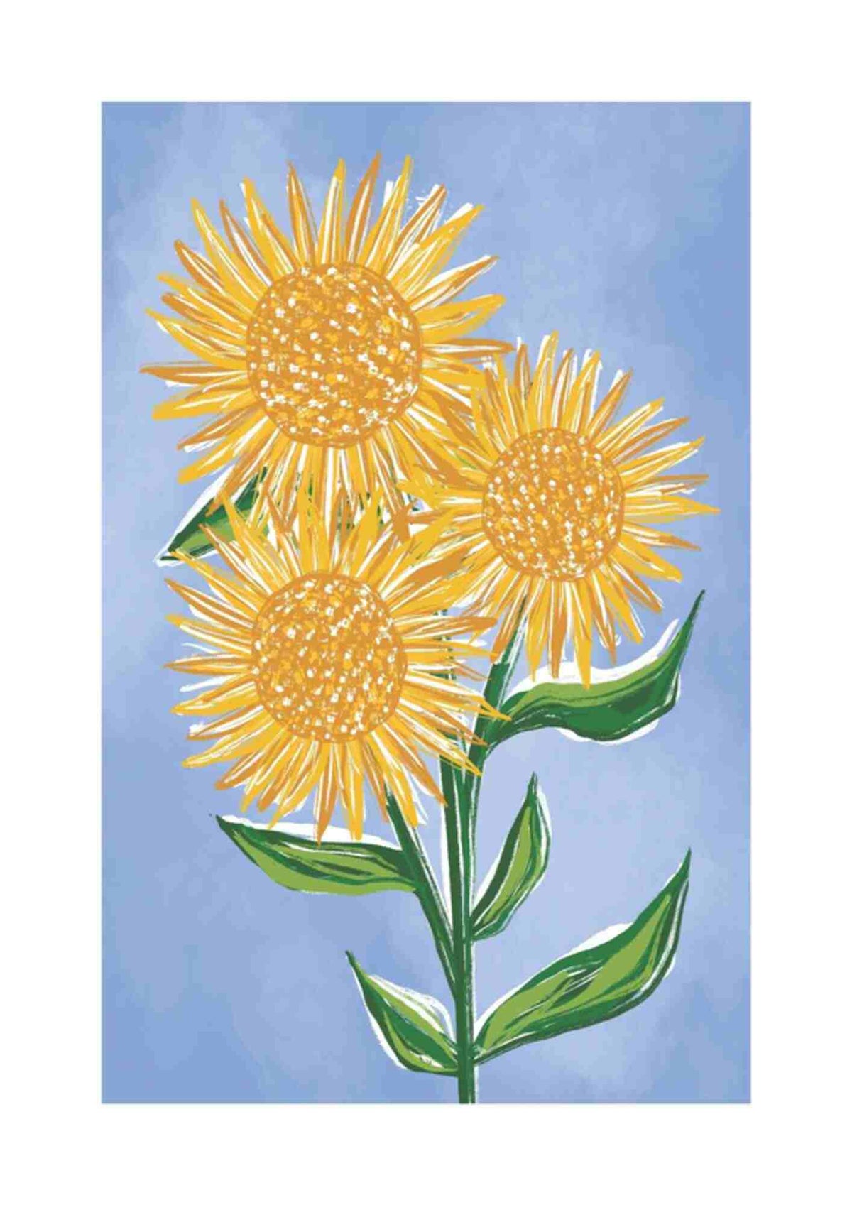 Solsikkeblomster