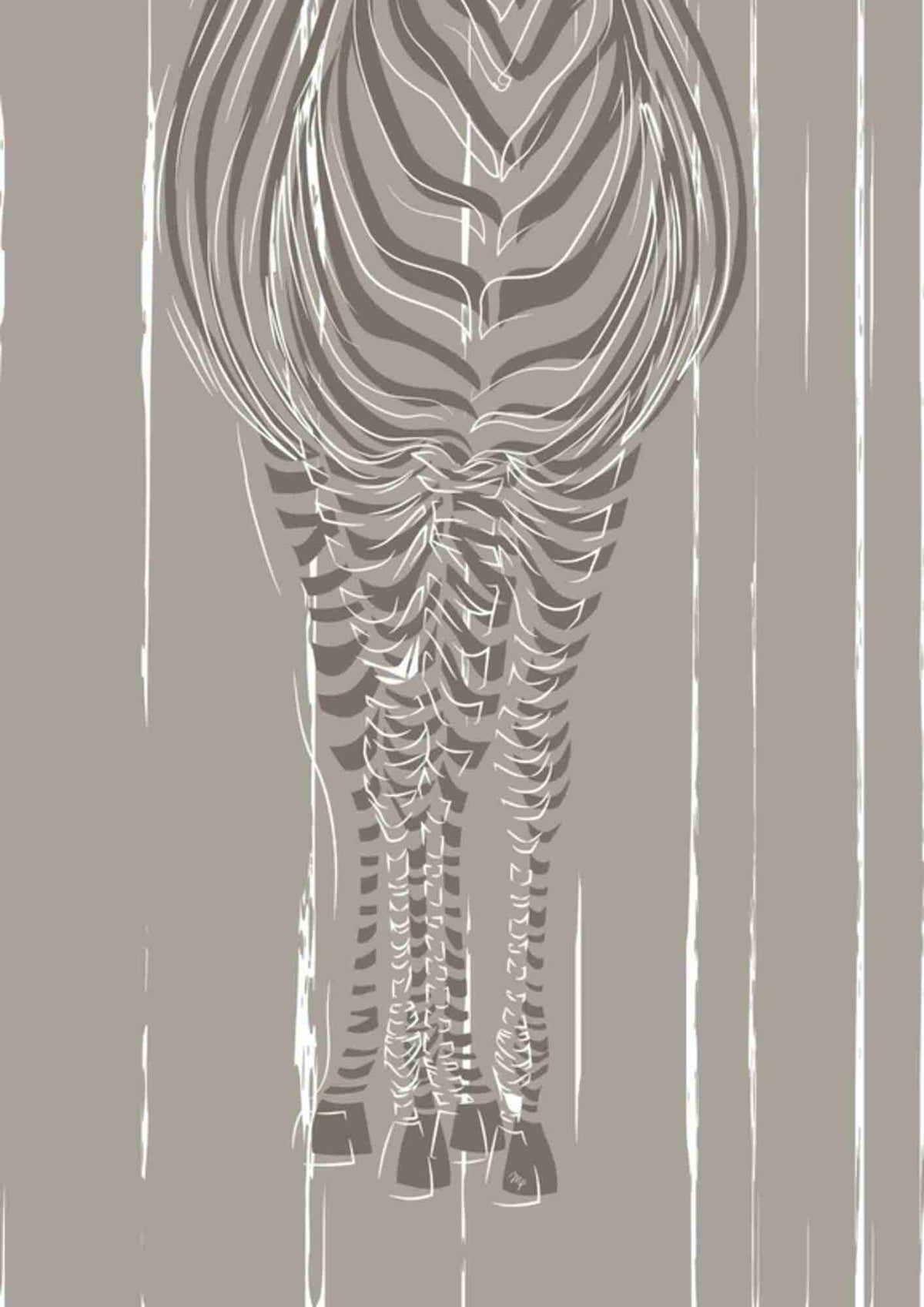 Zebra Silhuet
