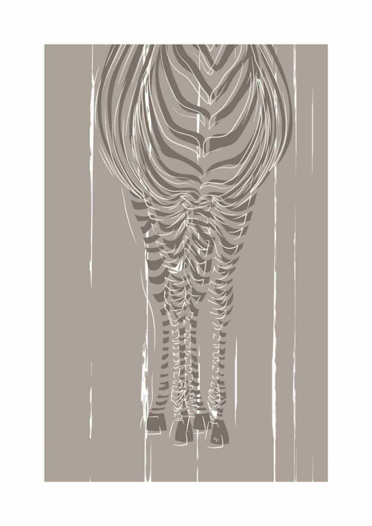 Zebra Silhuet
