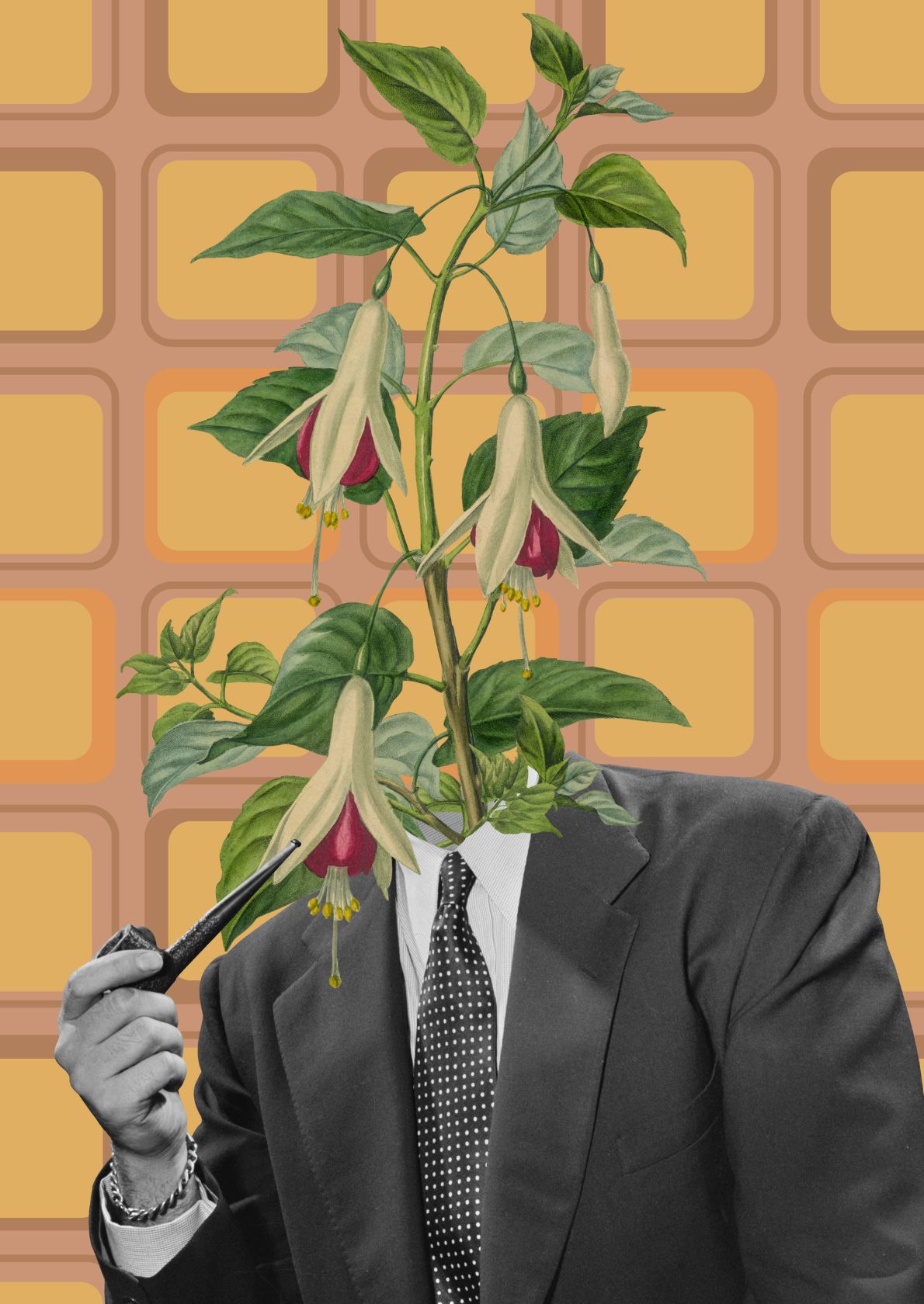 Fuchsia i frakkemotiv