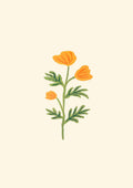 Gul blomst