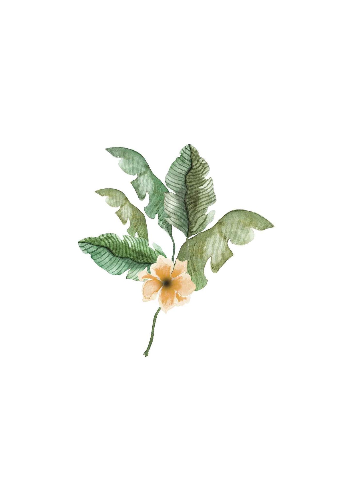 Akvarel Blomster