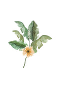 Akvarel Blomster