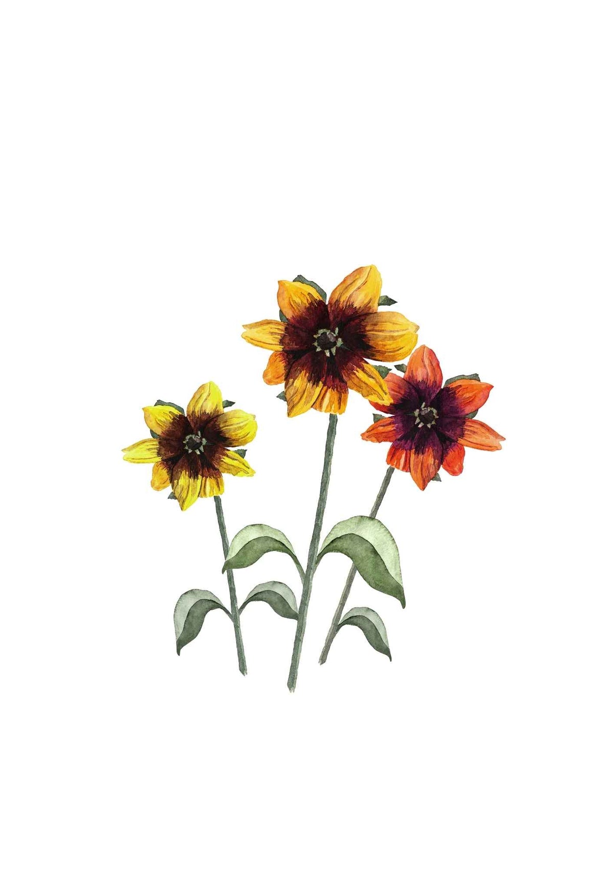 Blomster i farver